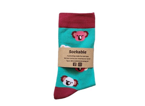 Carrie Koala Socks Socks Sockable Fundraising 