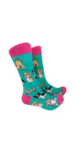 Dog's Delight Socks Socks Sockable Fundraising 